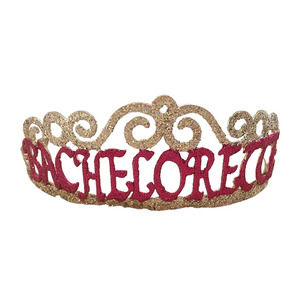 Bachelorette Silver Pink Crown